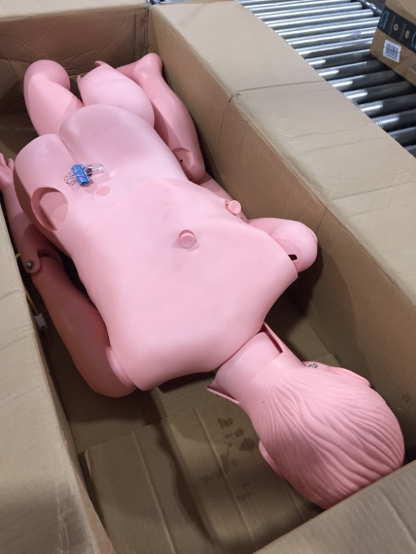 Photo 2 of VEVOR Manikin for The Cure of The Patient Didactic Material in PVC Medical Training Teaching Manikin Model Woman for Teaching at School of Nursing Medicine  46.06 x 18.11 x 9.84 inches; 21.45 Pounds
