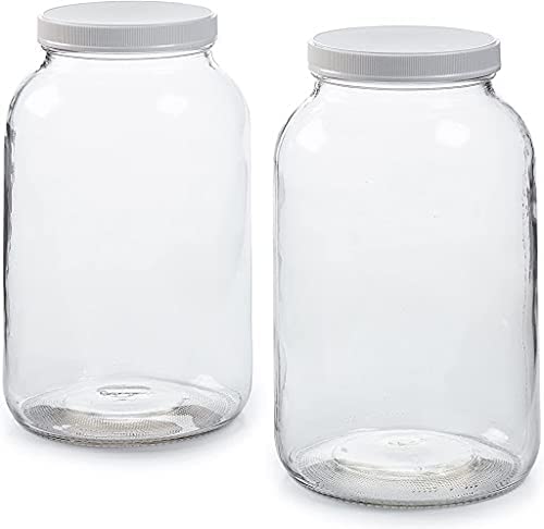 Photo 1 of 1 Gallon Glass Jar with Lid - Glass Gallon Jar for Kombucha & Sun Tea - Gallon Mason Jars are Large Glass Jars with Lids 1 Gallon for Food Storage - 2 Pack Large Jars with Airtight Plastic Lids