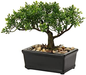 Photo 1 of Artificial Bonsai Tree Juniper Faux Plants Indoor Small Fake Plants Decor with Ceramic Pots for Home Table Office Desk Bathroom Shelf Bedroom Living Room Farmhouse Decorations
