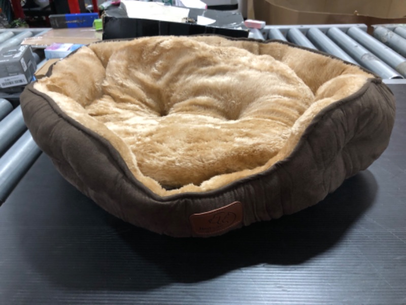 Photo 3 of Bedsure Small Dog Bed for Small Dogs Washable - Round Cat Beds for Indoor Cats, Round Pet Bed for Puppy and Kitten with Slip-Resistant Bottom, Brown, 20 Inches
