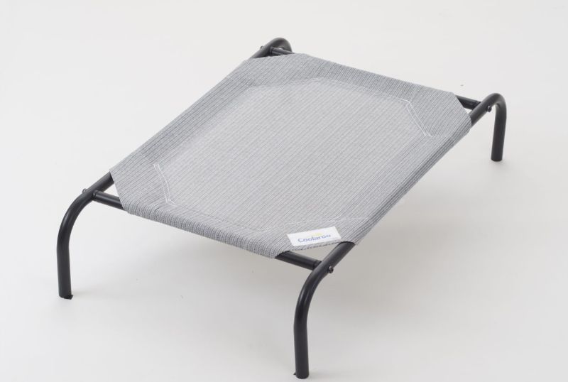 Photo 1 of Coolaroo Grey Elevated Dog Bed, 51 L X 31.5 W X 8 H, Large