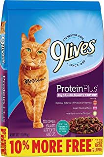 Photo 1 of 9Lives Protein Plus Dry Cat Food Bonus Bag, 13.2Lb exp april 22 2022