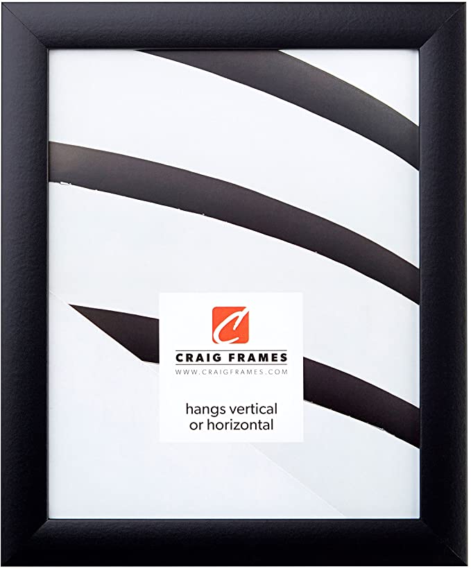 Photo 1 of Craig Frames 1WB3BK 24 by 36-Inch Picture Frame, Smooth Wrap Finish, 1-Inch Wide, Black