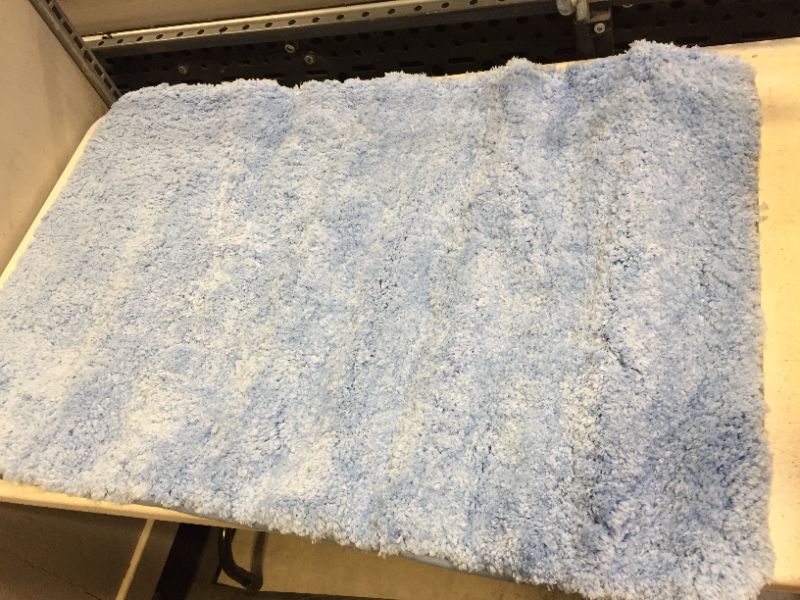 Photo 2 of AHGOKL Non-Slip Door Mat for Kitchen Living Room Bathroom Rugs for Bathroom Living Room Water Absorption Blue (31.4 x 47.2)