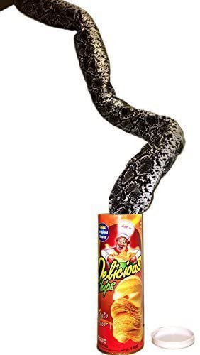 Photo 1 of B&E LIFE The Potato Chip Snake Can Jump Spring Snake Toy Gift April Fool Day Halloween Party Decoration Jokes in A Can Gag Gift Prank Large Size (Potato Chip Style)
