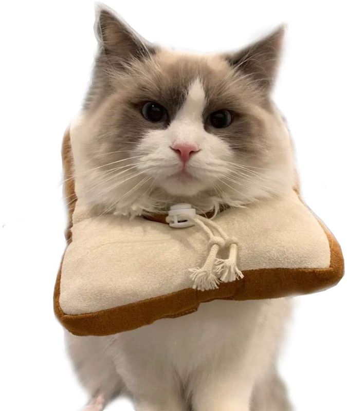 Photo 1 of Ankino Toast Bread-Shaped Cat Headdress with Buckle, Creative Cotton Bread Slice Collar for Cat,Pet Cat Cosplay Makeup Cap, Cat Dressing Up Props, Pet Headgear, Cat Elizabeth Collar
