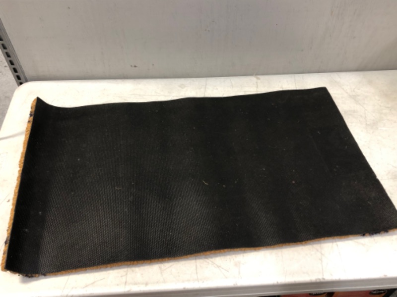 Photo 2 of door mat rug 30 inch x 17 inch 