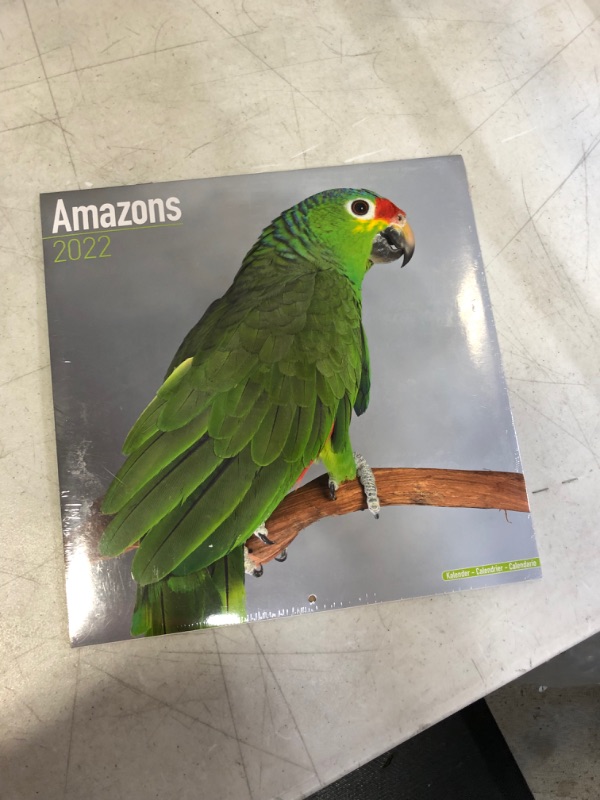 Photo 1 of Amazon Parrot Calendar - Parrot Calendar - Calendars 2021 - 2022 Calendars - Bird Calendars - Monthly Wall Calendar by Avonside Calendar – Wall Calendar, July 30, 2021
