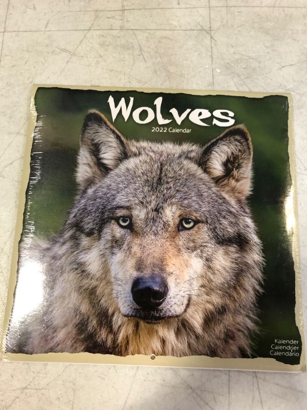 Photo 1 of Wolf Calendar - Wolves Calendar - Calendars 2021 - 2022 Wall Calendars - Animal Calendar - Wolves 16 Month Wall Calendar by Avonside Calendar – Wall Calendar, July 30, 2021