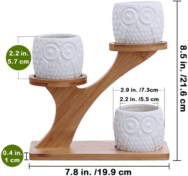Photo 1 of 3pcs Owl Succulent Pots with 3 Tier Bamboo Saucers Stand Holder - White Modern Decorative Ceramic Flower Planter Plant Pot with Drainage
