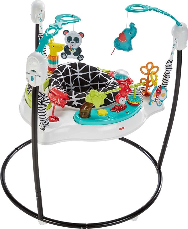 Photo 1 of Fisher-Price Animal Wonders Jumperoo, 
