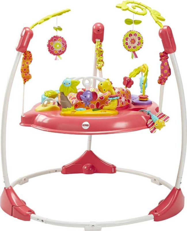 Photo 1 of Fisher-Price Jumperoo: Pink Petals