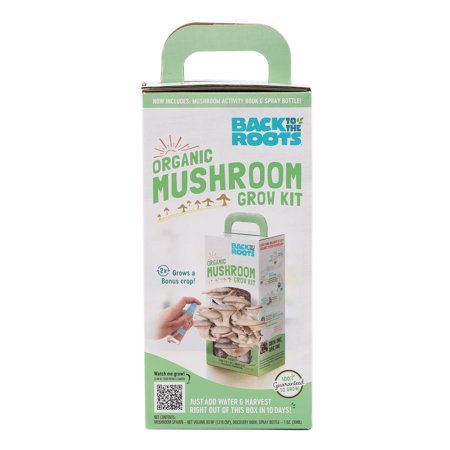 Photo 1 of Back to the Roots Mushroom Grow Kit 1 Pk
