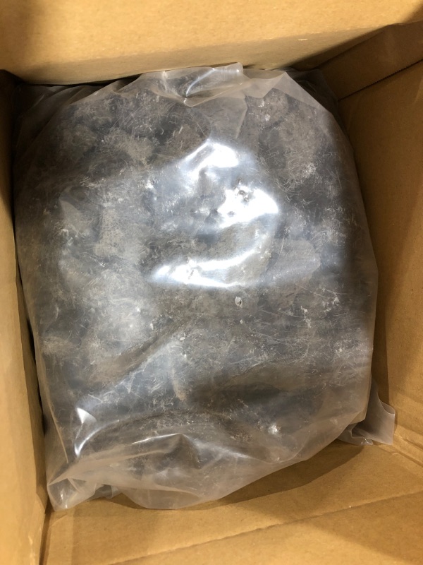 Photo 1 of Black Lava Rock  10 lb Bag