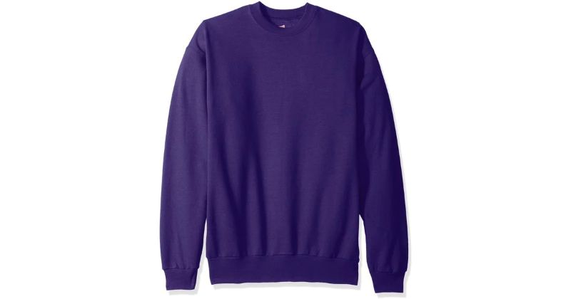 Photo 1 of Hanes Ecosmart Sweatshirt in Purple size M 