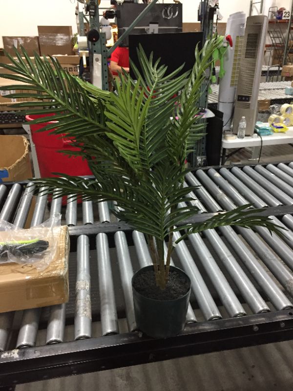 Photo 1 of 29 inch Fake Fern 