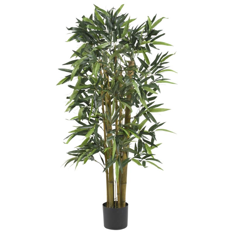 Photo 1 of Biggy 4-foot Bamboo Silk Tree
