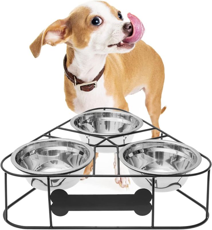 Photo 1 of BINGPET Elevated Bowls for Small Dogs & Cats, Double Raised Bowls with Arc Wire Stand, Dog Food and Water Stainless Steel Bowls, Pet Feeder with Bone Shape Plate, for Puppies and Cats

