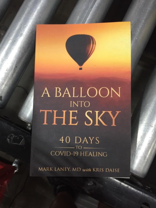 Photo 3 of Book: A Balloon Into the Sky: 40 Days to COVID-19 Healing
