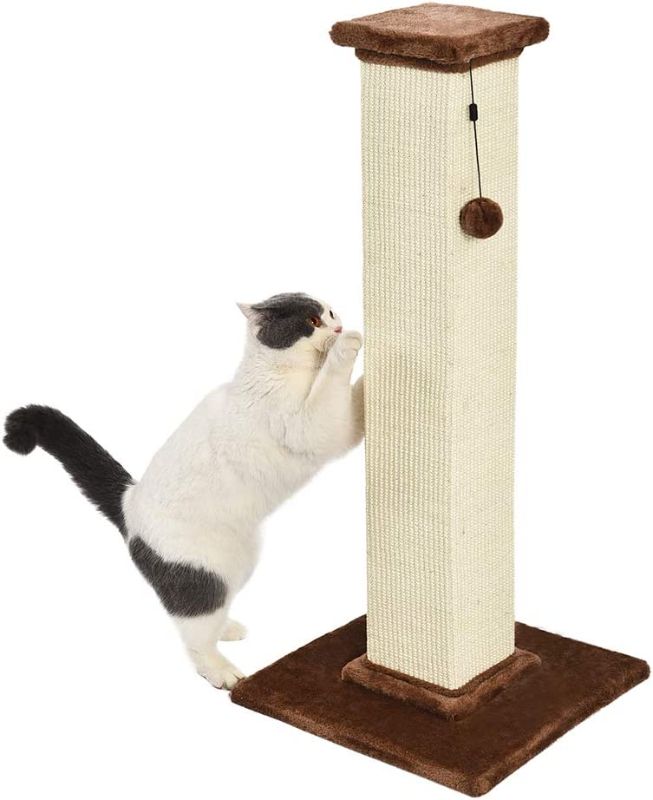 Photo 1 of Amazon Basics Tall Cat Scratching Post with Jute Fiber and Carpet, Large, 16 x 16 x 35 Inches, Brown
