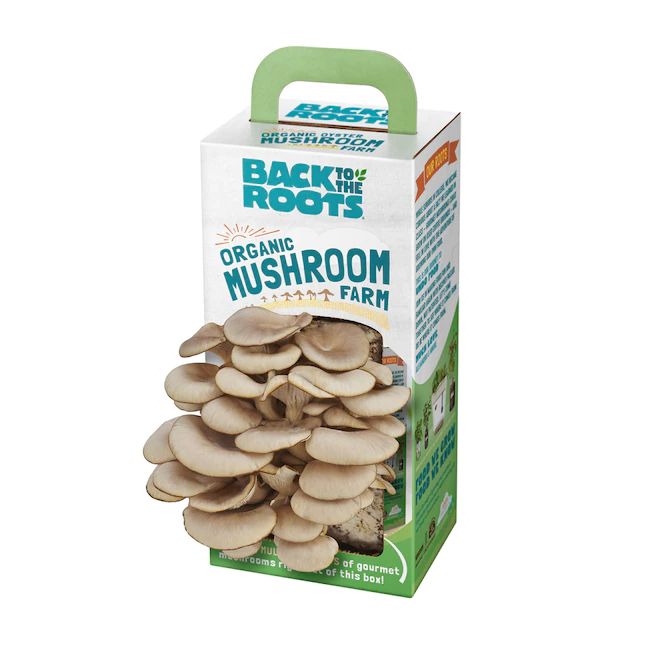 Photo 1 of Back to the Roots Organic Mushroom Grow Kit

