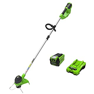 Photo 1 of Greenworks 40V 12" Cordless String Trimmer, 2.0Ah Battery and Charger Included