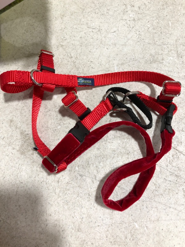 Photo 5 of 2 Hounds Design Freedom No Pull Dog Harness | Adjustable Gentle Comfortable Control for Easy Dog Walking | for Small Medium and Large Dogs | Made in USA | Leash Not Included
