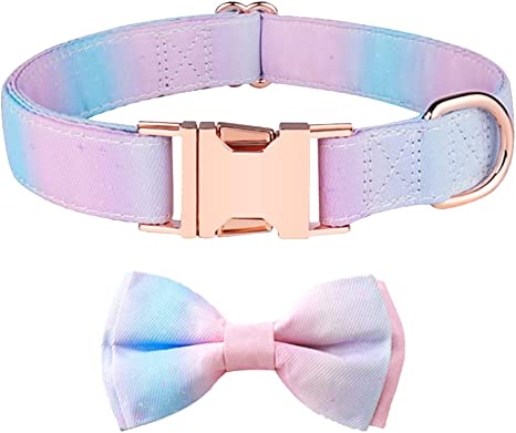 Photo 1 of Adjustable Bowtie Dog Collar with Safety Locking Buckle (XL, Pink Gradient)