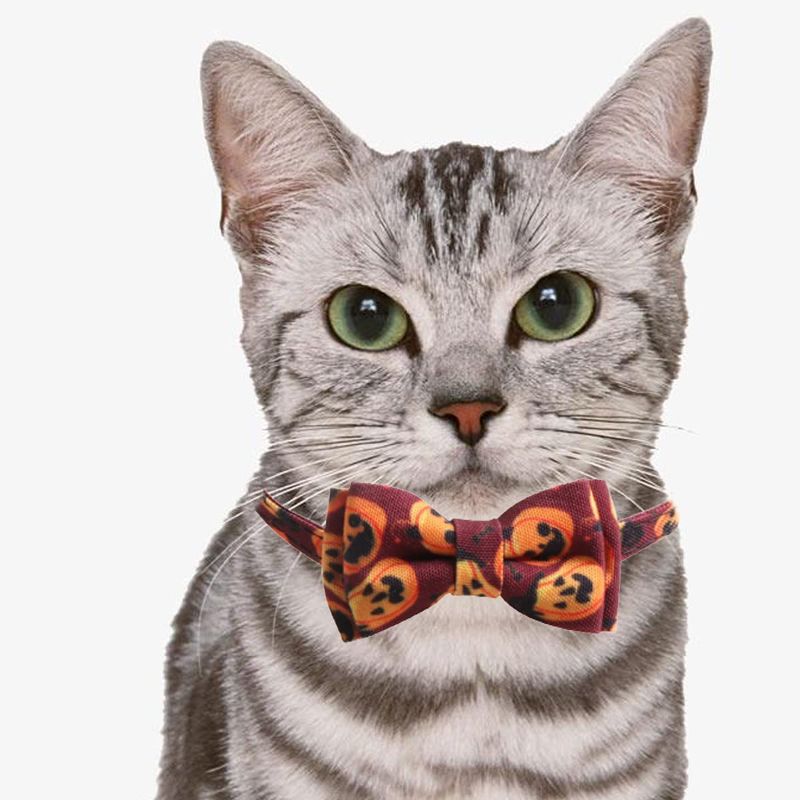 Photo 1 of [2 Pack] Petunny Halloween Cat Bowtie- Adjustable Breakaway with Bowtie Bell- Halloween Pumpkin & Bats