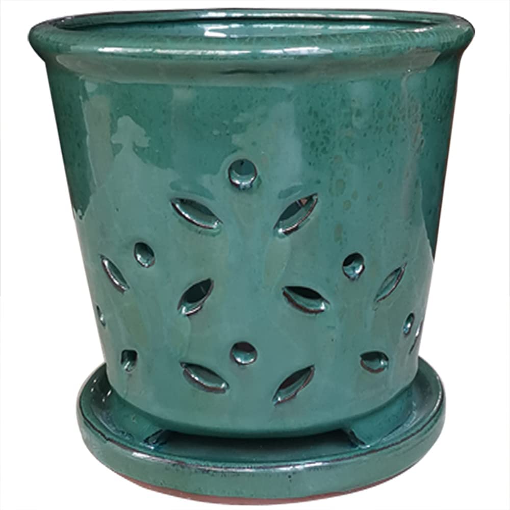 Photo 1 of [7inch] Large Round Orchid Pot [Forest Green]