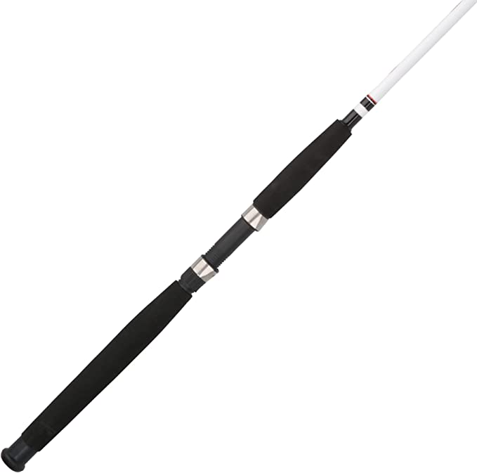 Photo 1 of Berkley Big Game Spinning Fishing Rod
