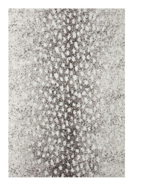 Photo 1 of Bliss Shag Grey / White Rug
