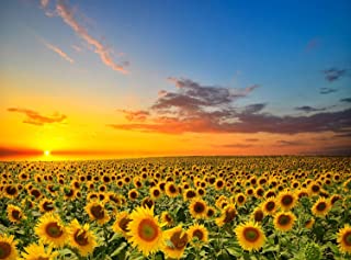 Photo 1 of SweatDance 500 Piece Jigsaw Puzzles for Adults for Kids-Sunflowers in The Field- Puzzle Games Funny Gifts