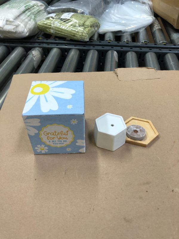 Photo 2 of Cheersville Matchbook Seed Set and Mini Ceramic Hexagon Modern Planter - Chamomile
