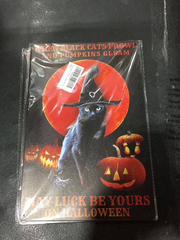 Photo 2 of Black Cat Witch May Luck Be Yours On Halloween Poster
