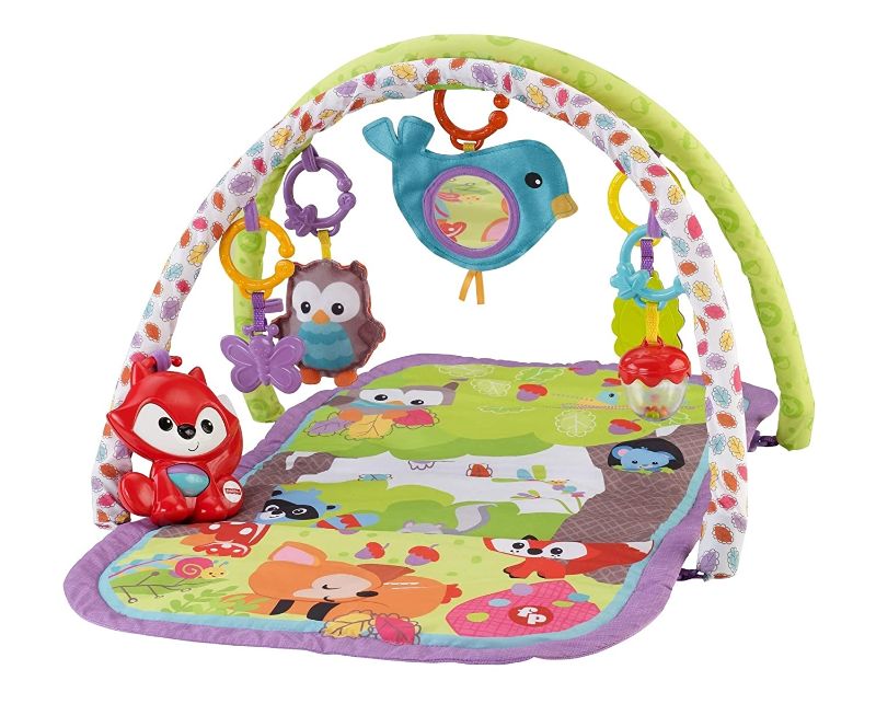 Photo 1 of Fisher-Price 3-in-1 Musical Activity Gym, Woodland
