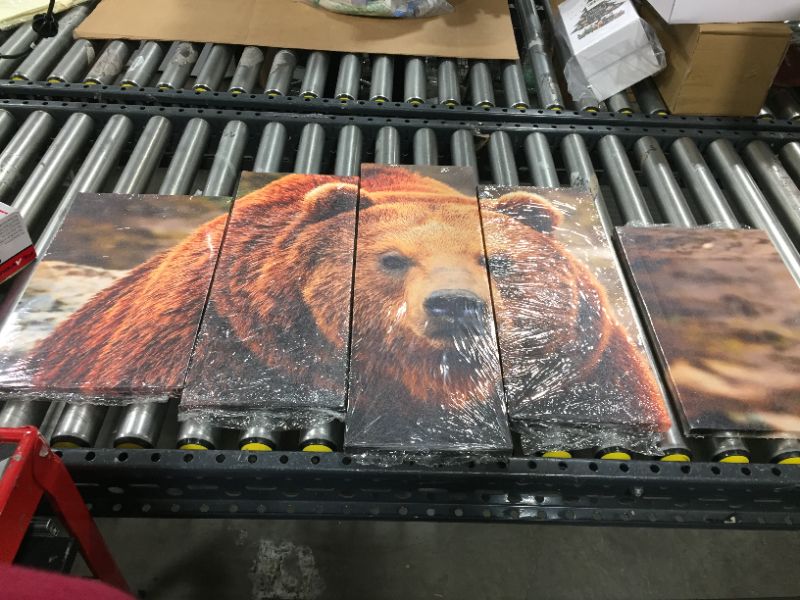 Photo 1 of 5PCS grizzly bear canvas print poster