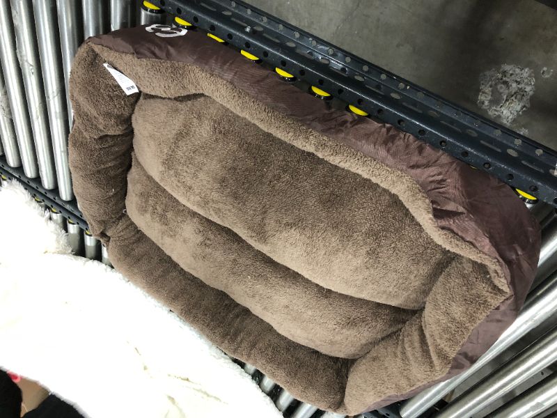 Photo 1 of 3' x 30" brown dog bed with minor bordering 