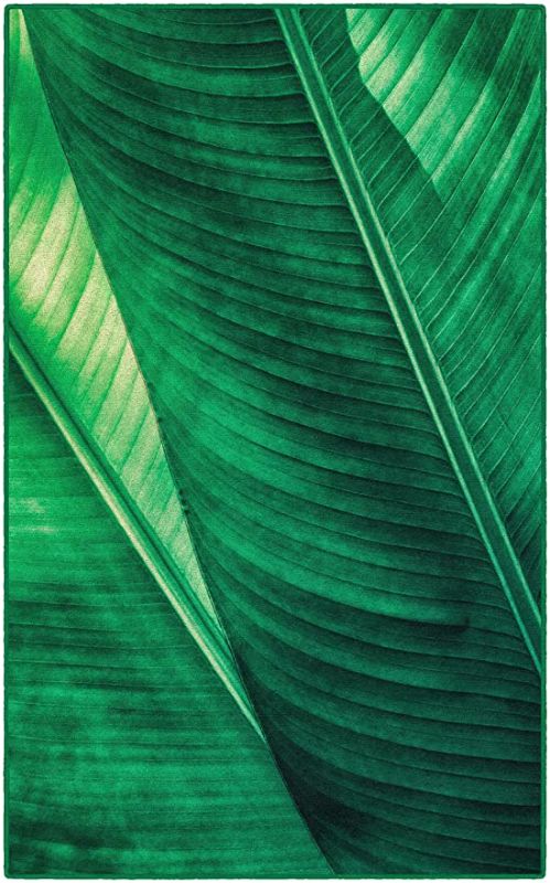 Photo 1 of Brumlow Mills Leaf It to Me Tropical Home Indoor Area Rug with Green Floral Palm Leaf Pattern for Living Room Decor, Dining, Kitchen Rug, Bedroom Carpet or Entryway Rug, 2'6" x 3'10"
