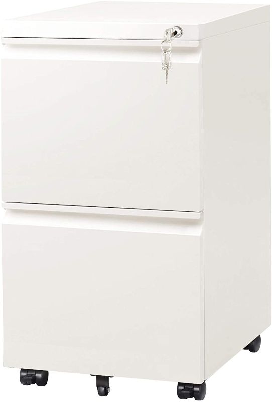 Photo 1 of DEVAISE 2-Drawer Mobile File Cabinet with Lock, Commercial Vertical Cabinet, White
