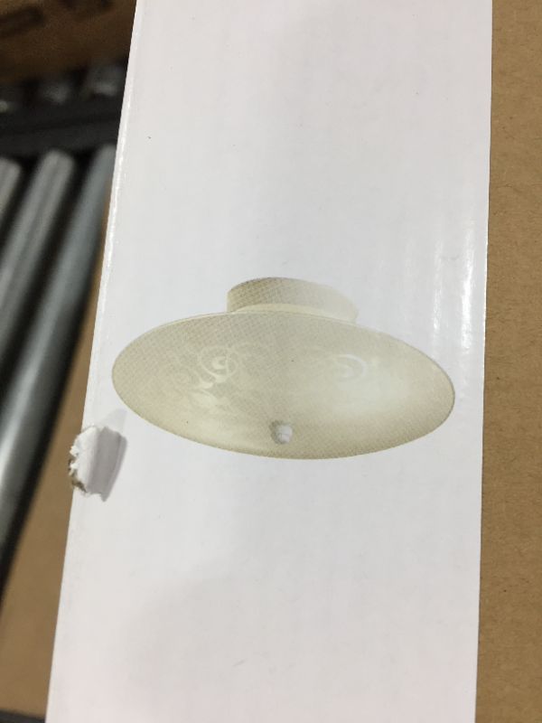 Photo 1 of 12inch 2 light semi flush mount