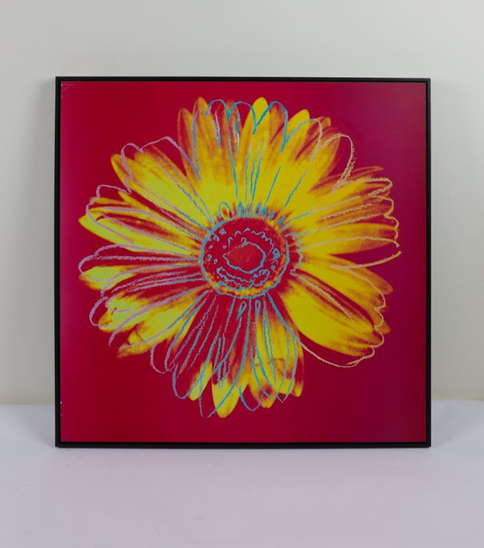 Photo 1 of Andy Wrahole Daisy Crimson and Pink  APPROX. 34 X 34 Inches