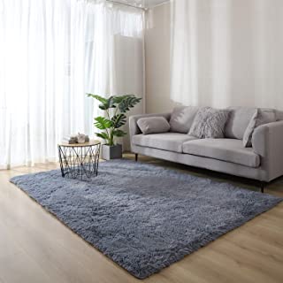 Photo 1 of 3x5 Feet, Gray WochiTV Ultra Soft Fluffy Modern Area Rug Non-Slip Plush Machine Washable Rug Living Room Bedroom Floor Carpet Kids Baby Nursery Decor Rug
