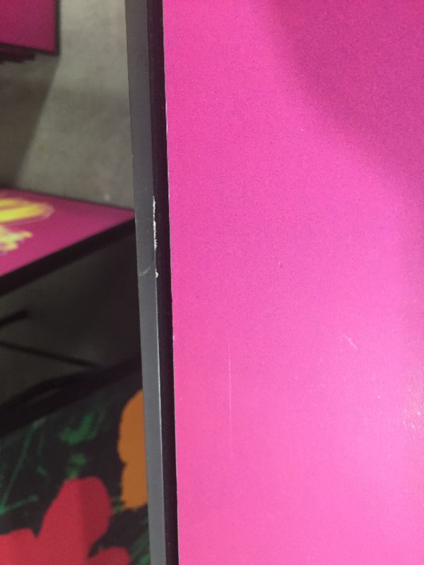 Photo 1 of Andy Wrahole Daisy Crimson and Pink 34 X 34 Inches