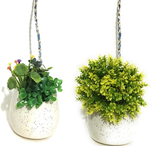 Photo 1 of Beaver Nest Shaped Small Planter Pot - Set of 2 - (White)
