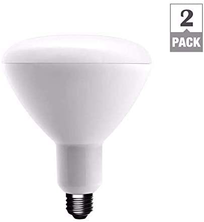 Photo 1 of EcoSmart 75-Watt Equivalent BR40 Dimmable Energy Star LED Light Bulb Bright White (2-Pack)
