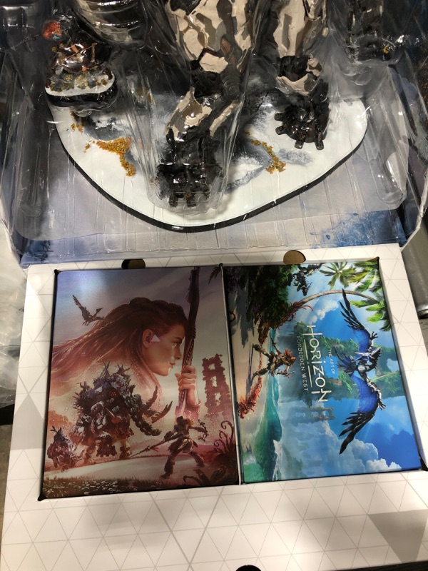 Photo 6 of Horizon Forbidden West Collector's Edition - PS4 and PS5 Entitlements
