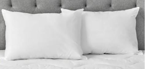 Photo 1 of AllerEase Hypoallergenic Down Alternative Queen Pillow 2 sets
