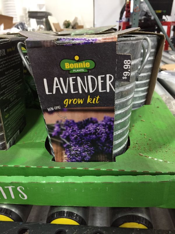 Photo 1 of Bonnie Plants Lavender ,basil, mint Seeds Growing Kit
