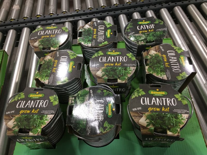 Photo 1 of bonnie plants catnip/cilantro grow kit